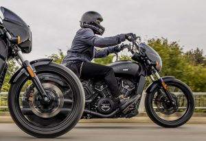 Indian Scout Rogue