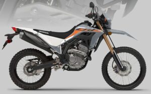 CRF300L